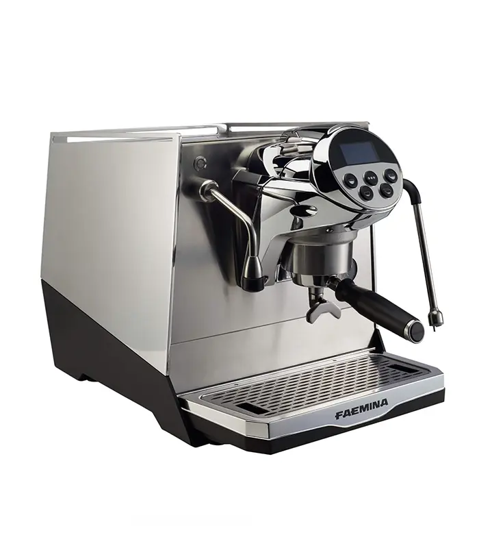 Profesional Kaffeemaschine Italian Coffee Maker E61 Two Group Semi